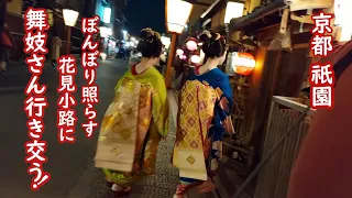 [2023/4/27]京都 祇園 観光客押し寄せるも舞妓さん行き交う花見小路の夜！