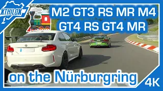 FUNTRAIN with BMW M2 + M4 + GT3 RS MR + GT4 RS + GT4 MR - NÜRBURGRING NORDSCHLEIFE BTG 4K