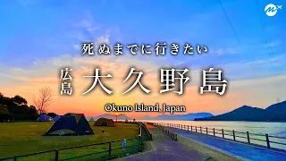 【本当は教えたくない】広島・大久野島1泊2日ひとり旅。絶景＆うさぎが最高すぎた【観光・旅行・温泉・グルメ】