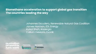 Biomethane acceleration to support global gas transition - The countries leading the way