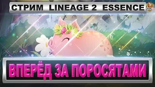 Lineage 2 Essence [Green]. Вперёд за поросятами!!!!!!