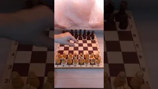 Самая простая шахматная ловушка! Отличный мат в дебюте! #шахматырулят