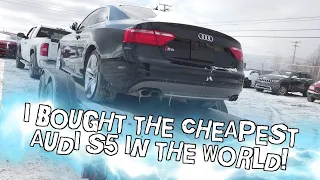 I Bought the CHEAPEST Audi S5 in the WORLD!