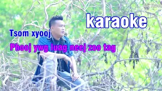 Tsom xyooj - Phooj Ywg Luag Neej Zoo Tag [karaoke]