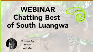 Webinar - Chatting Best of South Luangwa