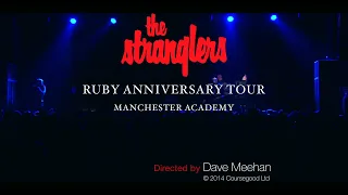 The Stranglers Golden Brown Live in Manchester