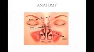 Ophthalmic emergency - Orbital cellulitis