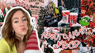 VLOGMAS 🥸 Собираем ИКЕА, покупки и новогодний декор, ЮТЮБ СЛОМАЛСЯ а ещё я ПРИБОЛЕЛА 🤒