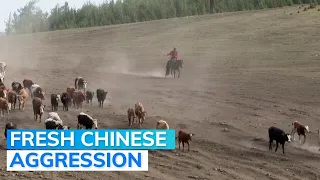Chinese Troops Stop Indian Cattle-Herders On Indian Side of LAC