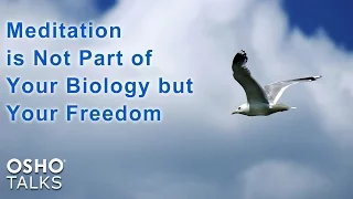 OSHO TALKS: Meditation is Not Part of Your Biology - but Your Freedom