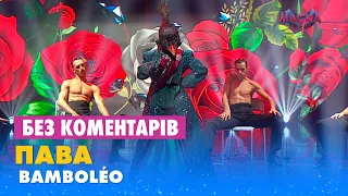 ПАВА - BAMBOLÉO. БЕЗ КОМЕНТАРІВ ДЕТЕКТИВІВ