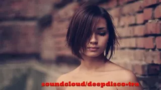 The Best Of Vocal Deep House Nu Disco 2013 (2 Hour Mixed By Zeni N)