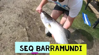 HOW TO CATCH BARRAMUNDI FISH IN SEQ BARRAMUNDI FISHING CATCHING HUGE FISH 4 FISHING AUSTRALIA