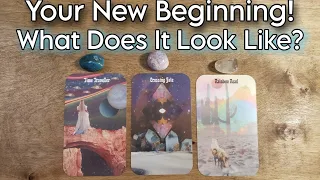 🦋🌿 Your New Beginning! 🌿🦋 What Does It Look Like? 🐚 Pick A Card Reading