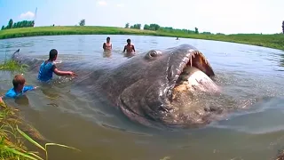 What a Fisherman Caught on His Camera Shocked the Whole World