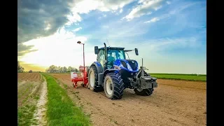 Usługowy Siew Kukurydzy 2019 z Firmą DARPOL ☆ New Holland T7.165 ☆ Maschio Gaspardo Maga 6 ☆