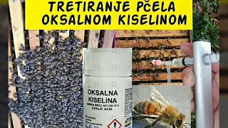 Tretiranje pčela oksalnom kiselinom Treatment of bees with oxalic acid. how it is done