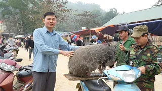 Robert sells biggest pig at the highland market. Green forest life