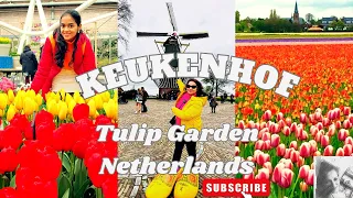 Keukenhof Tulip Garden Full Tour 2024 | Netherlands🇳🇱 in Spring time | Hindi | Traveling Artasty