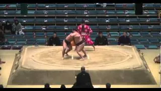 Saio vs Teraofuji Day 1 Sumo Haru Basho March 2014