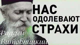 ПОЧЕМУ нас одолевают СТРАХИ? Фаддей Витовницкий