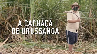 A CACHAÇA DE URUSSANGA - JORNAL INDAVÍRUS 111