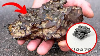 Experts Studying Meteorite Find Stunning Object Hidden Inside