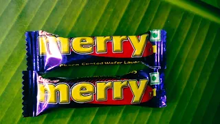 yummy &tasty merry chocolate wafer#trending #viral #chocolate #dairymilk #youtubevideo