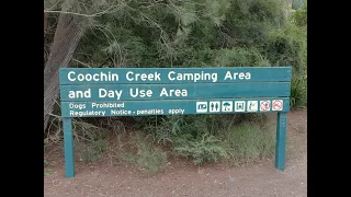 Coochin Creek Yowie Bigfoot Encounter