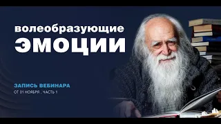 Лев Клыков - Волеобразующие эмоции. Зависимость воли от эмоциональных состояний души.