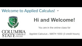 Applied Calculus: Linear Functions Review