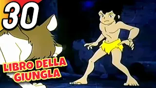 LIBRO DELLA GIUNGLA | Episodio 30 | Italiano | The Jungle Book