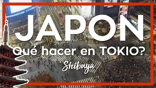 Tokyo 2019 🍣 things to do in Tokyo Japan day and night