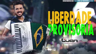 Luan Estilizado - Liberdade Provisória (música nova) - Promocional 2020