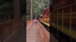 🇺🇸Skunk Train - Fort Bragg