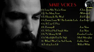 Auduophile Music Vol 2 - Best OF Male Voices - Music Test Demo - 4K