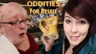 Finding Oddities at the Antique Shop | Vintage Buying & Reselling | Crazy Lamp Lady