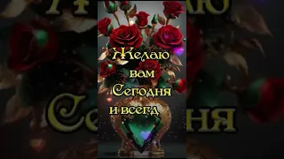 Добрый вечер!Красивоепожелание#видео#красиваямузыка#shorts