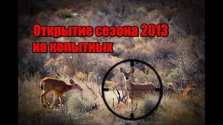 Открытие сезона 2013 на копытных (UKR)