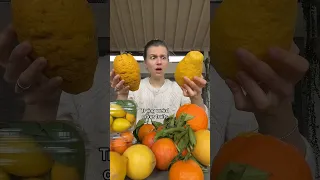 Trying weird citrus fruits