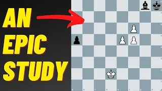 An Insane Problem by Mark Liburkin (Chess Composer)