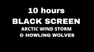 ARCTIC STORM and WOLVES HOWLING BLACK SCREEN - 10 hours for SLEEP