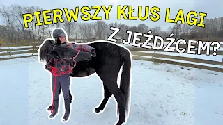 Początek pracy w siodle I Praca z młodym koniem #2