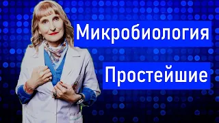 Простейшие, микробиология,постулат #38, #shorts