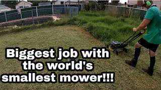 This is the most difficult tall grass cutting job I have ever had! - Satisfying mowing Australia