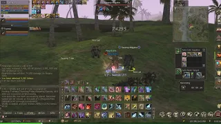 LIneage2 Chronos - Exalted Weapon +12 test on SV and Alligator Island