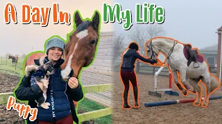Day In My Life | Puppy Meets Horses For First Time & Riding Mishap | Farm Vlog