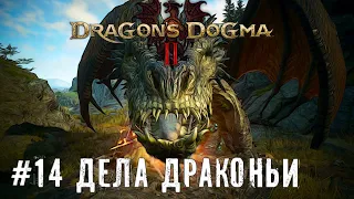 Хожу брожу - Dragon’s Dogma 2 | прохождение стрим часть #14 #dragonsdogma2