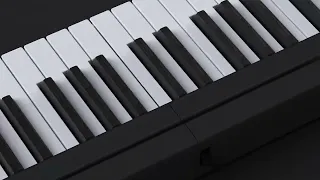 CS BX-11 便攜 折疊式 61鍵 數碼電子琴 香港註冊品牌 CS系列 折疊式 電子琴 Calvin Sang BX5  88keys piano keyboard
