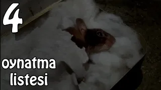 Zor Hedef Fare Türkçe Dublaj 100 Like? Full Film 4.Kısım (Mouse Hunt)